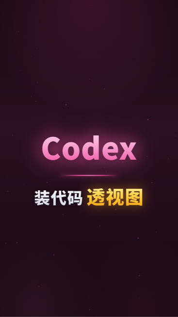 Codex装代码透视图